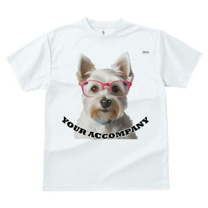 EGXgnChzCgeA TVc  j[NfUCfB[X t@  t vg lJWA 킢 lԗp Mtg I ҏ΍ Kl EGXgnC