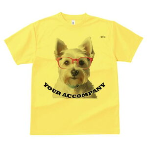 EGXgnChzCgeA TVc  j[NfUCfB[X t@  t vg lJWA 킢 lԗp Mtg I ҏ΍ Kl EGXgnC