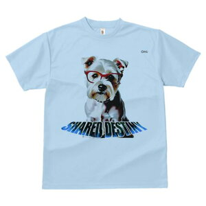 [NV[eA TVc  j[NfUCY LbY t@  t vg lJWA 킢 lԗp Mtg I ҏ΍ Kl [NV[eA