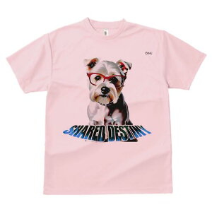 [NV[eA TVc  j[NfUCY LbY t@  t vg lJWA 킢 lԗp Mtg I ҏ΍ Kl [NV[eA