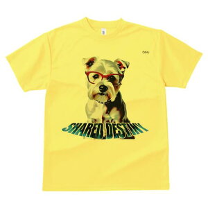 [NV[eA TVc  j[NfUCfB[X t@  t vg lJWA 킢 lԗp Mtg I ҏ΍ Kl [NV[eA