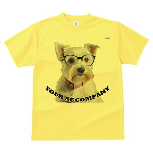 EGXgnChzCgeA TVc  j[NfUCfB[X t@  t vg lJWA 킢 lԗp Mtg I ҏ΍ Kl EGXgnC