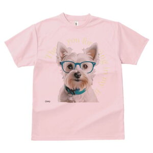 EGXgnChzCgeA TVc  j[NfUCfB[X t@  t vg lJWA 킢 lԗp Mtg I ҏ΍ Kl EGXgnC