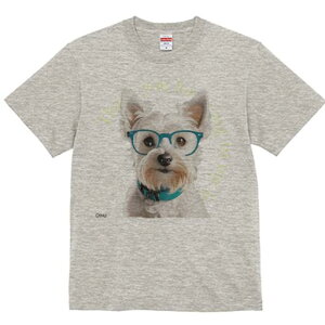 EGXgnChzCgeA TVc  j[NfUCfB[X t@  t vg lJWA 킢 lԗp Mtg I ҏ΍ Kl EGXgnC