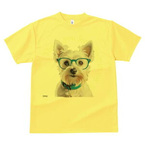 EGXgnChzCgeA TVc  j[NfUCY LbY t@  t vg lJWA 킢 lԗp Mtg I ҏ΍ Kl EGXgn