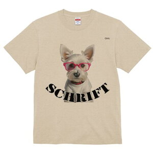 EGXgnChzCgeA TVc  j[NfUCfB[X t@  t vg lJWA 킢 lԗp Mtg I ҏ΍ Kl EGXgnC