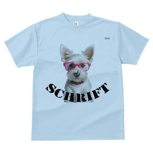 EGXgnChzCgeA TVc  j[NfUCfB[X t@  t vg lJWA 킢 lԗp Mtg I ҏ΍ Kl EGXgnC