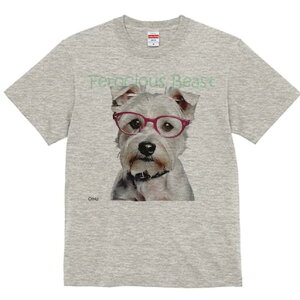 EGXgnChzCgeA TVc  j[NfUCfB[X t@  t vg lJWA 킢 lԗp Mtg I ҏ΍ Kl EGXgnC