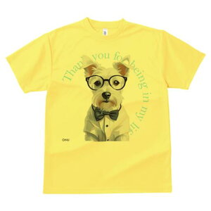 EFXgnChzCgeA TVc  j[NfUCfB[X t@  t vg lJWA 킢 lԗp Mtg I ҏ΍ Kl EFXgnC