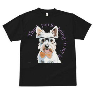 EGXgnChzCgeA TVc  j[NfUCfB[X t@  t vg lJWA 킢 lԗp Mtg I ҏ΍ Kl EGXgnC