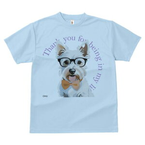 EGXgnChzCgeA TVc  j[NfUCY LbY t@  t vg lJWA 킢 lԗp Mtg I ҏ΍ Kl EGXgn