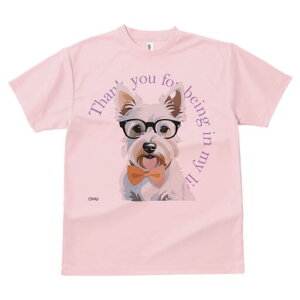 EGXgnChzCgeA TVc  j[NfUCfB[X t@  t vg lJWA 킢 lԗp Mtg I ҏ΍ Kl EGXgnC