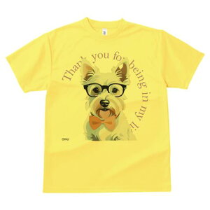 EGXgnChzCgeA TVc  j[NfUCfB[X t@  t vg lJWA 킢 lԗp Mtg I ҏ΍ Kl EGXgnC