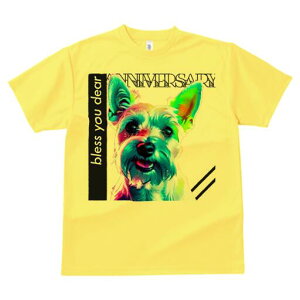 EGXgnChzCgeA TVc  j[NfUCfB[X t@  t vg lJWA 킢 lԗp Mtg I ҏ΍ EGXgnChz