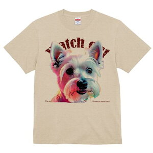 EGXgnChzCgeA TVc  j[NfUCfB[X t@  t vg lJWA 킢 lԗp Mtg I ҏ΍ EGXgnChz