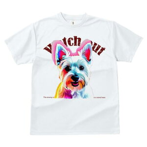 EGXgnChzCgeA TVc  j[NfUCfB[X t@  t vg lJWA 킢 lԗp Mtg I ҏ΍ EGXgnChz