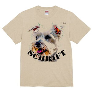 EGXgnChzCgeA TVc  j[NfUCfB[X t@  t vg lJWA 킢 lԗp Mtg I ҏ΍ EGXgnChz