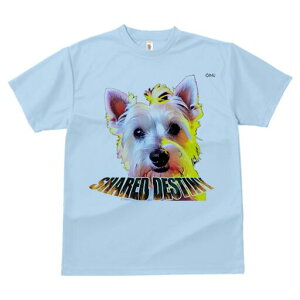 EGXgnChzCgeA TVc  j[NfUCfB[X t@  t vg lJWA 킢 lԗp Mtg I ҏ΍ TVc EGXgnC