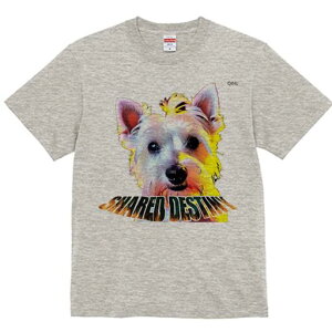 EGXgnChzCgeA TVc  j[NfUCY LbY t@  t vg lJWA 킢 lԗp Mtg I ҏ΍ EGXgnCh