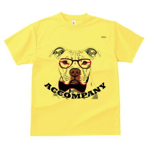 AJsbgueA TVc  j[NfUCfB[X t@  t vg lJWA 킢 lԗp Mtg I ҏ΍ Kl AJsbgu