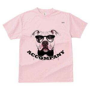 AJsbgueA TVc  j[NfUCfB[X t@  t vg lJWA 킢 lԗp Mtg I ҏ΍ Kl AJsbgu