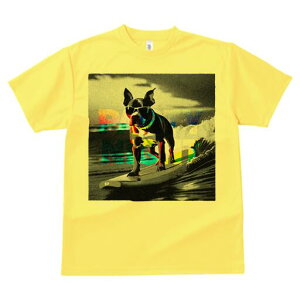 {XgeA TVc  j[NfUCY LbY t@  t vg lJWA 킢 lԗp Mtg I ҏ΍ T[tB {XgeA C