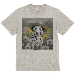 _VA TVc  j[NfUCfB[X t@  t vg lJWA 킢 lԗp Mtg I ҏ΍ Xq _VA 