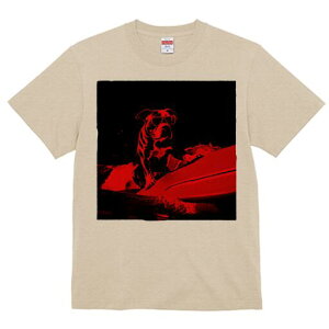 uhbO TVc  j[NfUCfB[X t@  t vg lJWA 킢 lԗp Mtg I ҏ΍ T[tB uhbO TOX g