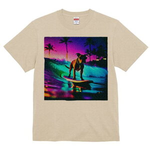 {NT[ TVc  j[NfUCfB[X t@  t vg lJWA 킢 lԗp Mtg I ҏ΍ T[tB {NT[ g C r[`