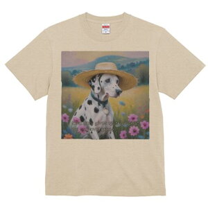 _VA TVc  j[NfUCfB[X t@  t vg lJWA 킢 lԗp Mtg I ҏ΍ Xq _VA  i