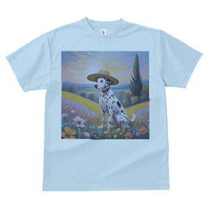 _VA TVc  j[NfUCfB[X t@  t vg lJWA 킢 lԗp Mtg I ҏ΍ Xq _VA  i