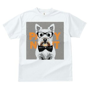 XRb`eA TVc  j[NfUCfB[X t@  t vg lJWA 킢 lԗp Mtg I ҏ΍ Kl XRb`eA lN^C