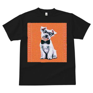 ~j`AViEU[ TVc  j[NfUCfB[X t@  t vg lJWA 킢 lԗp Mtg I ҏ΍ Kl ~j`AViEU[ 