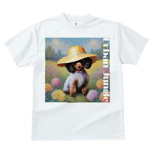 gCv[h TVc  j[NfUCfB[X t@  t vg lJWA 킢 lԗp Mtg I ҏ΍ Xq gCv[h