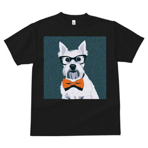 EGXgnChzCgeA TVc  j[NfUCfB[X t@  t vg lJWA 킢 lԗp Mtg I ҏ΍ Kl EGXgnC