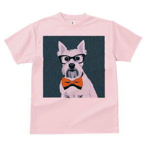 EGXgnChzCgeA TVc  j[NfUCY LbY t@  t vg lJWA 킢 lԗp Mtg I ҏ΍ Kl EGXgn