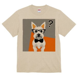 EGXgnChzCgeA TVc  j[NfUCY LbY t@  t vg lJWA 킢 lԗp Mtg I ҏ΍ Kl EGXgn