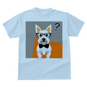 EGXgnChzCgeA TVc  j[NfUCY LbY t@  t vg lJWA 킢 lԗp Mtg I ҏ΍ Kl EGXgn