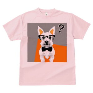 EGXgnChzCgeA TVc  j[NfUCY LbY t@  t vg lJWA 킢 lԗp Mtg I ҏ΍ Kl EGXgn