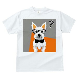 EGXgnChzCgeA TVc  j[NfUCY LbY t@  t vg lJWA 킢 lԗp Mtg I ҏ΍ Kl EGXgn