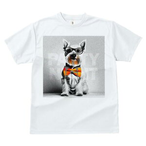 EGXgnChzCgeA TVc  j[NfUCfB[X t@  t vg lJWA 킢 lԗp Mtg I ҏ΍ Kl EGXgnC