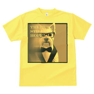 EGXgnChzCgeA TVc  j[NfUCfB[X t@  t vg lJWA 킢 lԗp Mtg I ҏ΍ lN^C EGXgn