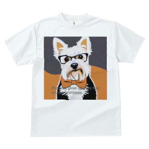 [NV[eA TVc  j[NfUCfB[X t@  t vg lJWA 킢 lԗp Mtg I ҏ΍ Kl [NV[eA lN^