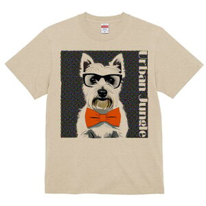 EGXgnChzCgeA TVc  j[NfUCfB[X t@  t vg lJWA 킢 lԗp Mtg I ҏ΍ Kl EGXgnC