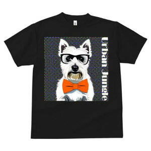 EGXgnChzCgeA TVc  j[NfUCfB[X t@  t vg lJWA 킢 lԗp Mtg I ҏ΍ Kl EGXgnC