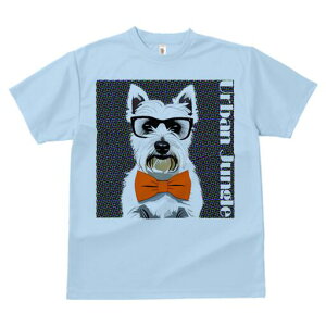 EGXgnChzCgeA TVc  j[NfUCfB[X t@  t vg lJWA 킢 lԗp Mtg I ҏ΍ Kl EGXgnC