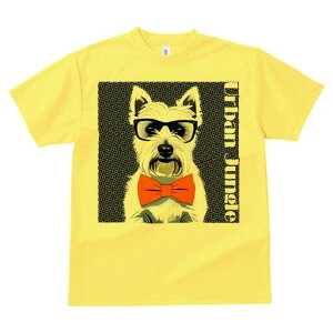 EGXgnChzCgeA TVc  j[NfUCfB[X t@  t vg lJWA 킢 lԗp Mtg I ҏ΍ Kl EGXgnC