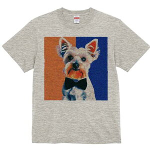 EGXgnChzCgeA TVc  j[NfUCfB[X t@  t vg lJWA 킢 lԗp Mtg I ҏ΍ lN^C EGXgn