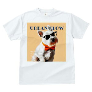 EGXgnChzCgeA TVc  j[NfUCfB[X t@  t vg lJWA 킢 lԗp Mtg I ҏ΍ TOX EGXgn