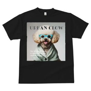 gCv[h TVc  j[NfUCfB[X t@  t vg lJWA 킢 lԗp Mtg I ҏ΍ Kl gCv[h 